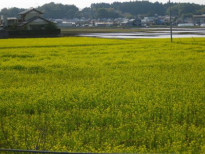 神野工務店の木工教室